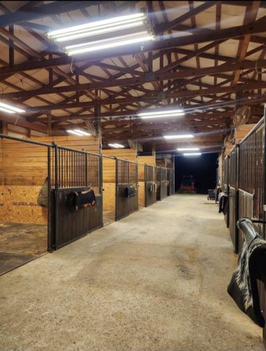 Dimly lit horse stable with wooden stalls and a concrete floor.