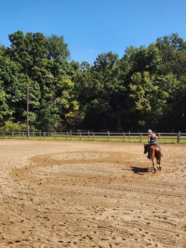 A person riding a horse in an outdoor arena surrounded by trees.