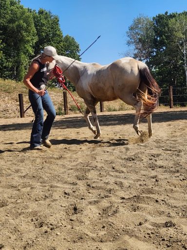 Person walking with a chestnut horse in a sandy outdoor arena.